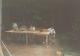 N�hodn� fotka z albumu